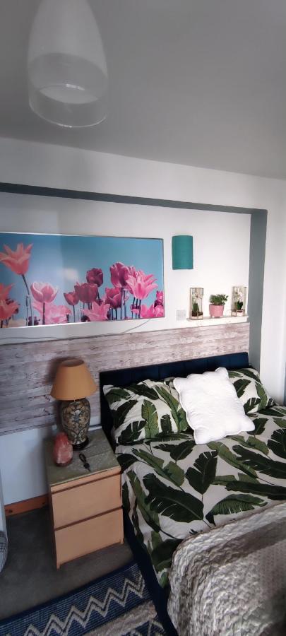 Joanna'S Studio , Key Locker By Whatsapp Own Entrance, Own Bathroom يوغال المظهر الخارجي الصورة